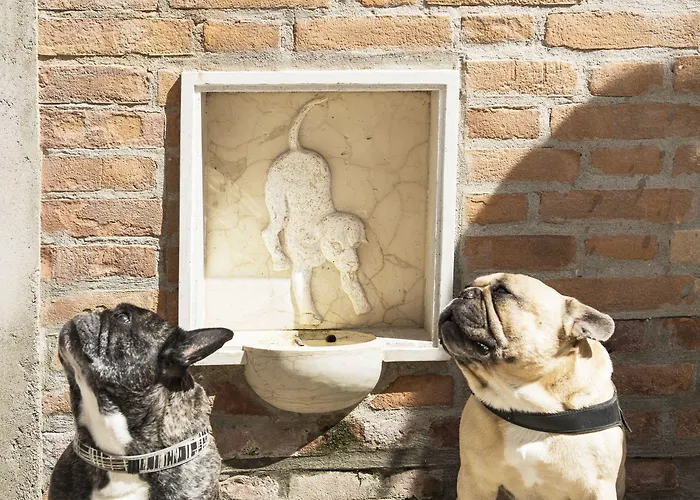 Agli Alboretti Hotel Venecia